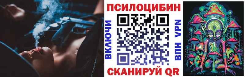 Галлюциногенные грибы Psilocybe Каменка