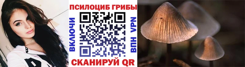 Псилоцибиновые грибы GOLDEN TEACHER  даркнет официальный сайт  Каменка 